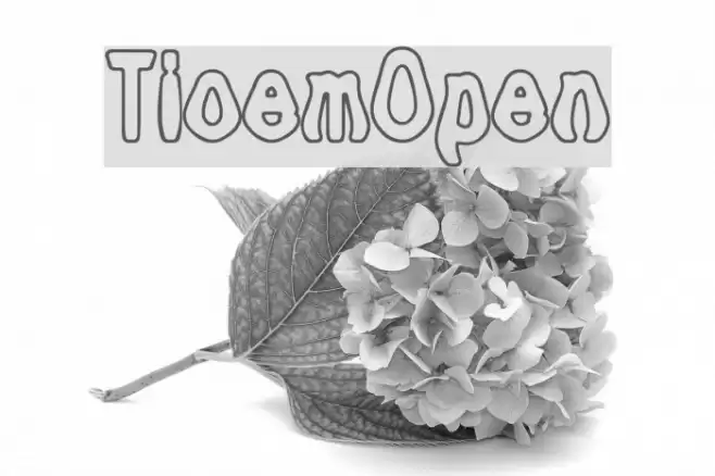 Tioem-Open Caratteri examples