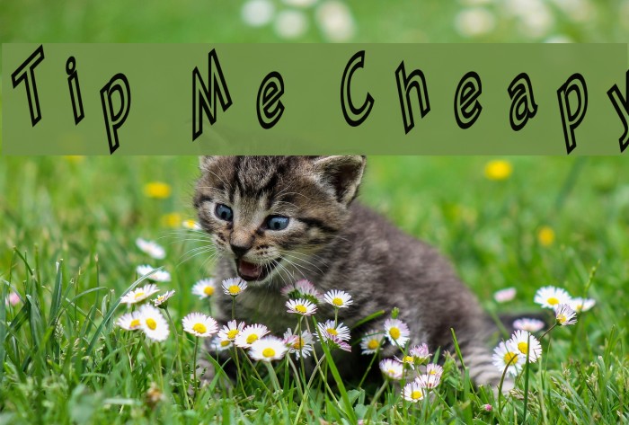 Tip Me Cheapy Шрифта examples