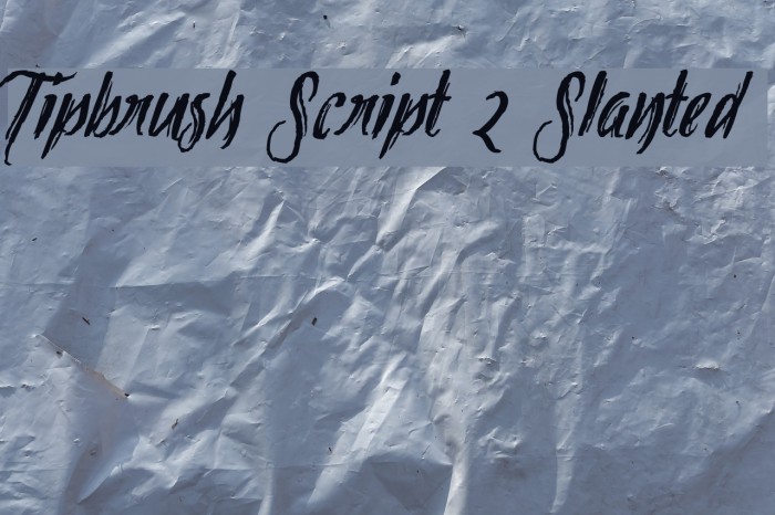 Tipbrush Script 2 Slanted Font examples
