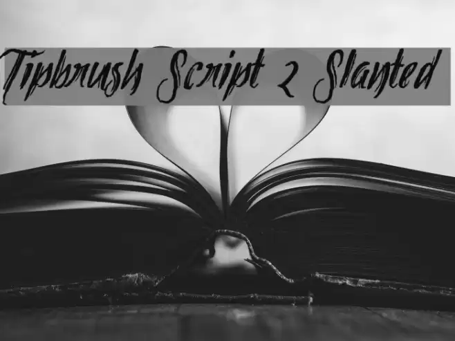 Tipbrush Script 2 Slanted Font examples