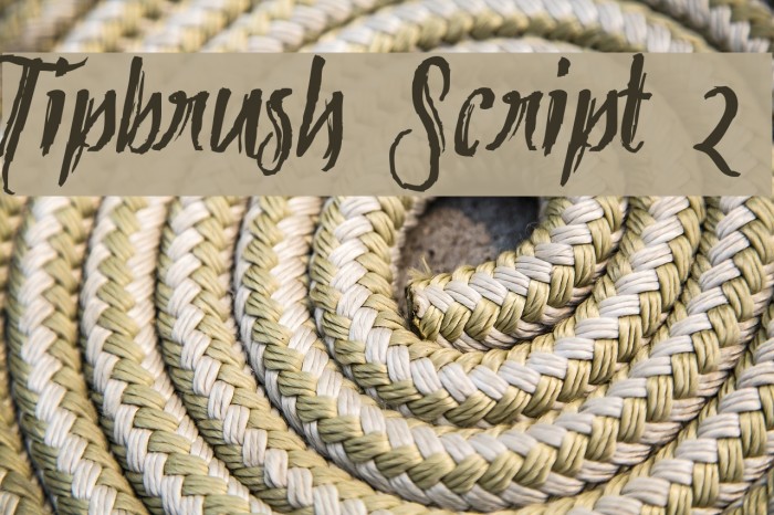 Tipbrush Script 2 Font examples