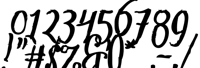 Tipbrush Script Font OTHER CHARS