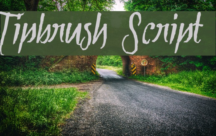 Tipbrush Script Font examples