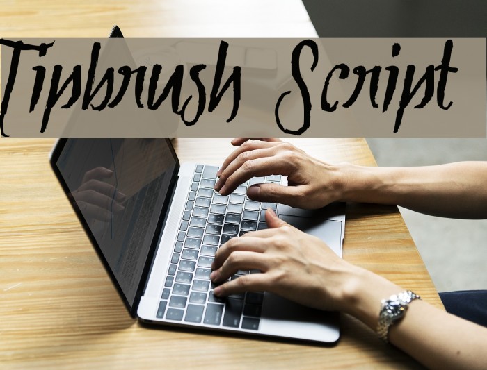 Tipbrush Script Font examples