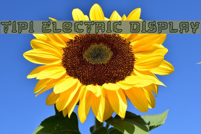 Tipi Electric Display Font examples