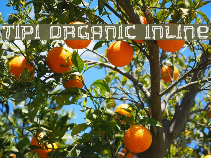 Tipi Organic Inline Font examples