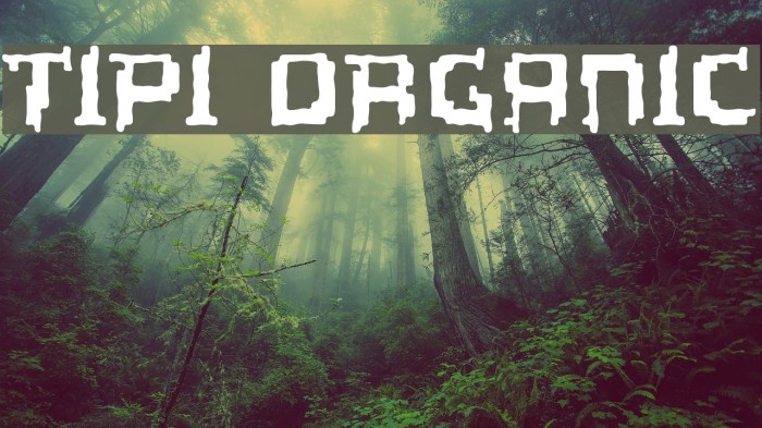 Tipi Organic Font examples