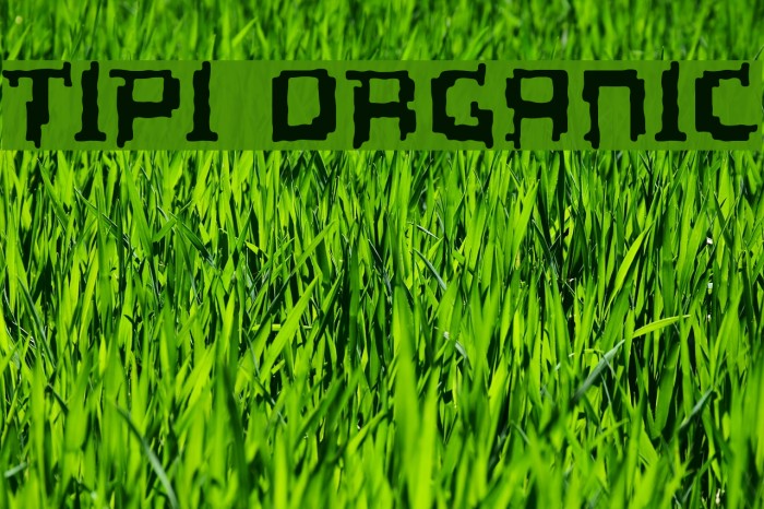 Tipi Organic Font examples