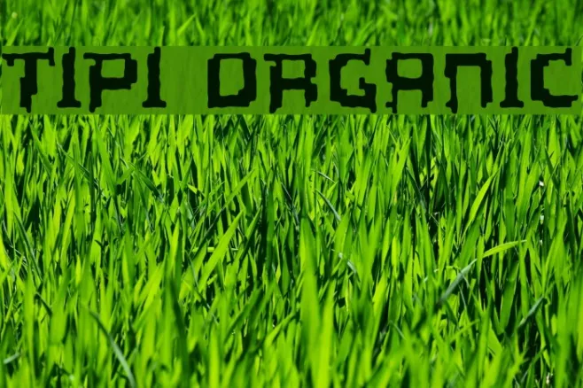 Tipi Organic Example 2
