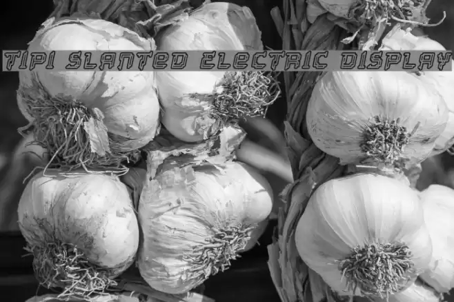 Tipi Slanted Electric Display Font examples