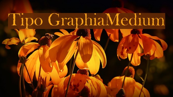 Tipo GraphiaMedium Font examples