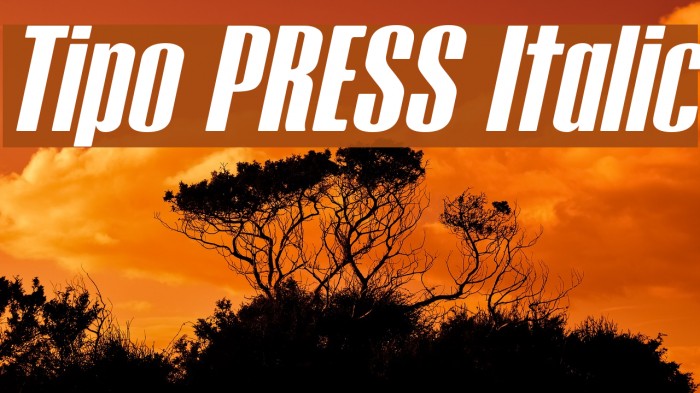 Tipo PRESS Italic Font examples