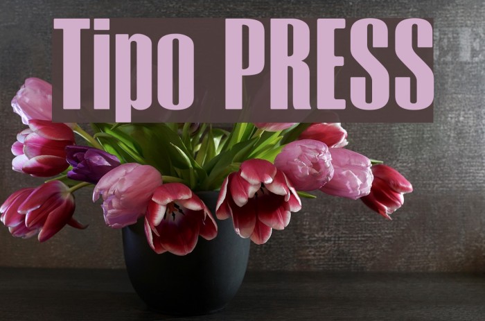 Tipo PRESS Font examples