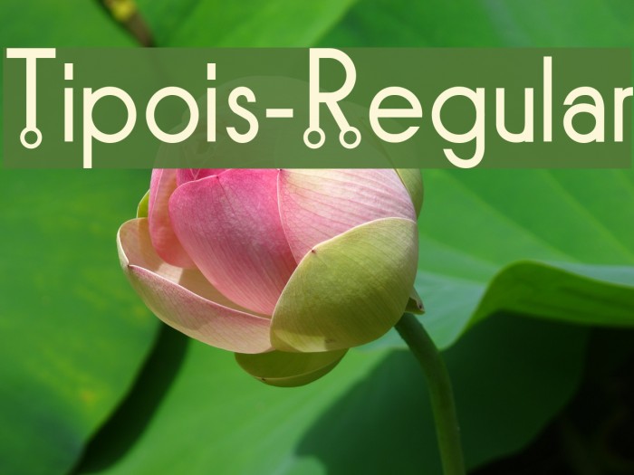 Tipois-Regular Font examples