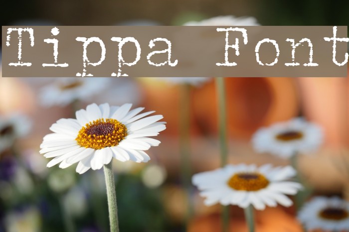 Tippa Font examples