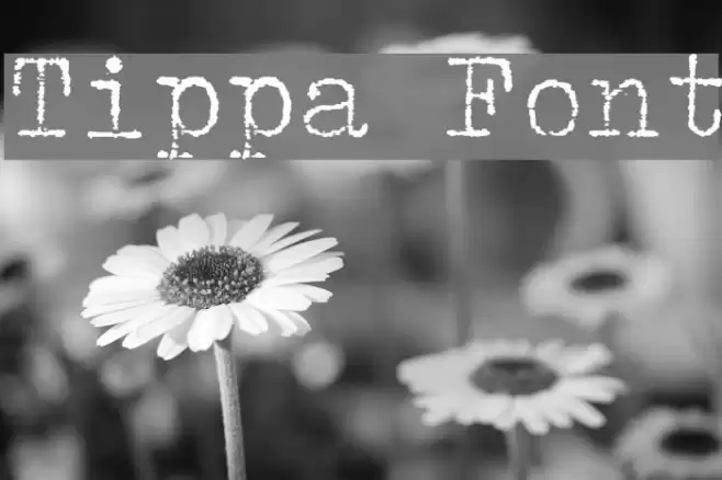 Tippa خط examples
