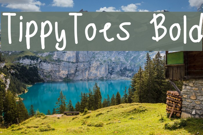 TippyToes Bold フォント examples