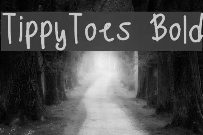 TippyToes Bold フォント examples