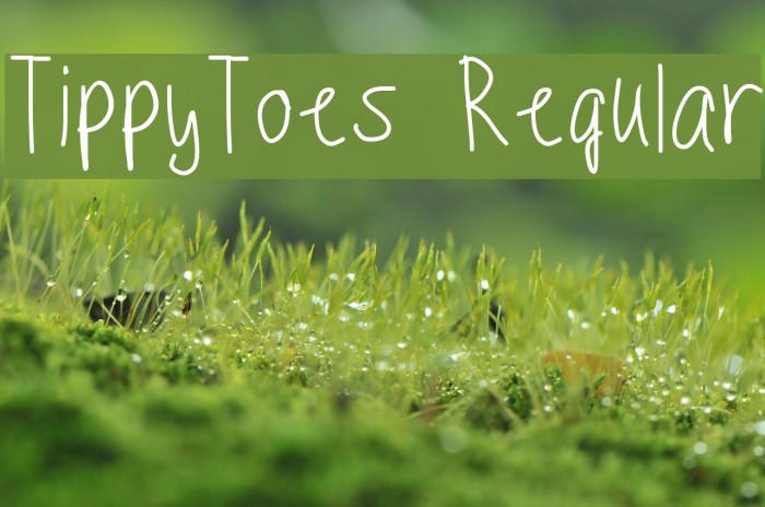 TippyToes Regular Font examples