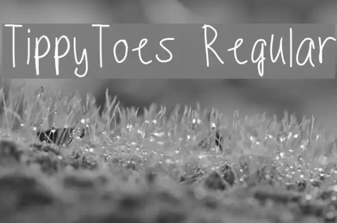 TippyToes Regular Fonte examples