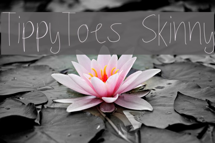 TippyToes Skinny Example 1