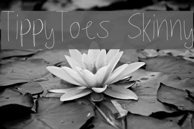 TippyToes Skinny Font examples