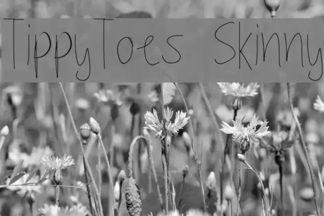 TippyToes Skinny Font examples
