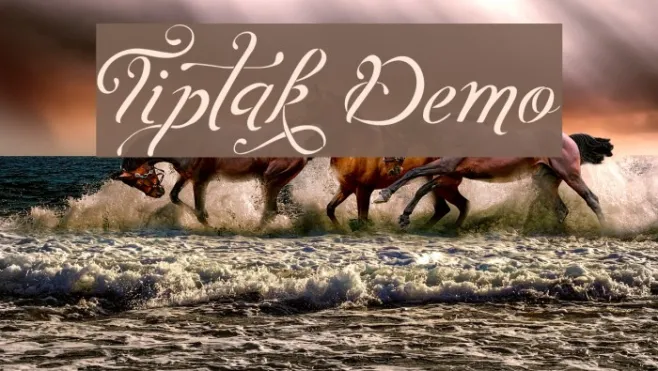 Tiptak Demo Example 1