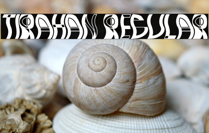 Tirahan Regular Example 2