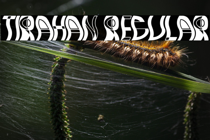 Tirahan Regular Example 3