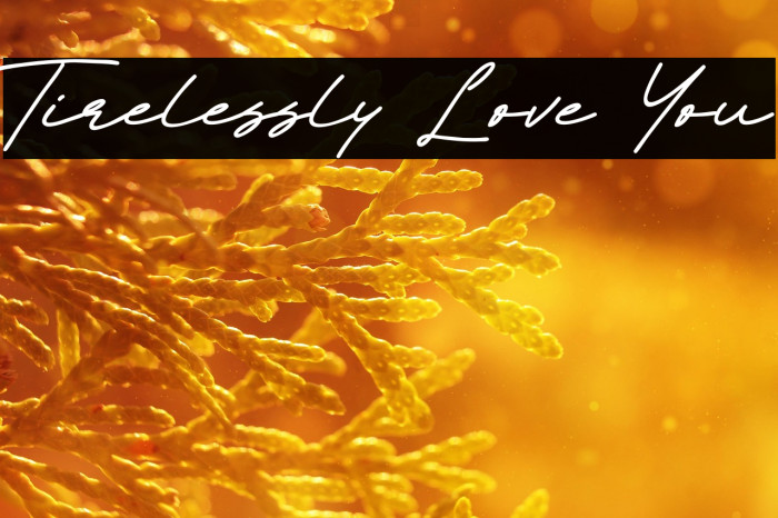 Tirelessly Love You Example 1