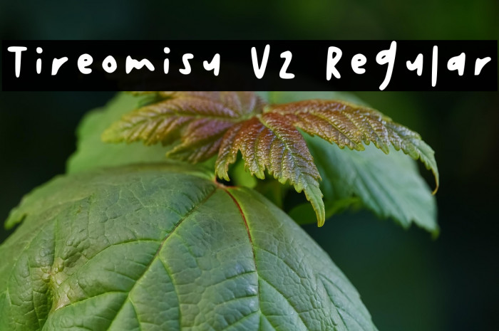 Tireomisu V2 Regular Example 1