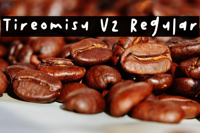 Tireomisu V2 Regular Example 3