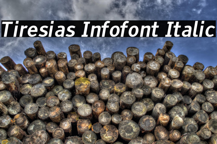 Tiresias Infofont Italic Example 3