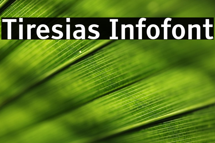 Tiresias Infofont Example 1