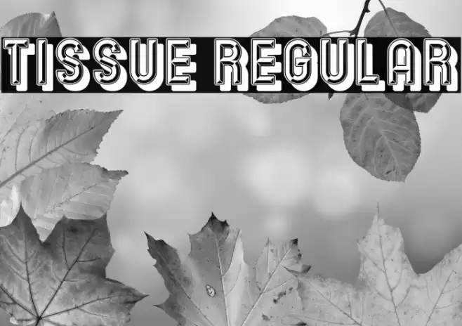 Tissue Regular Font examples