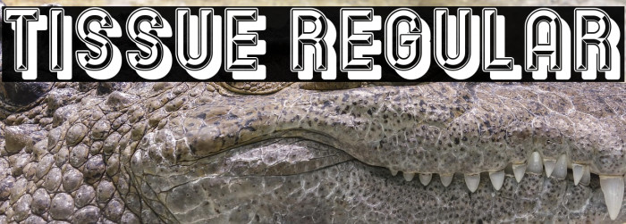 Tissue Regular Example 2