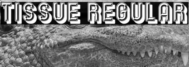 Tissue Regular Font examples