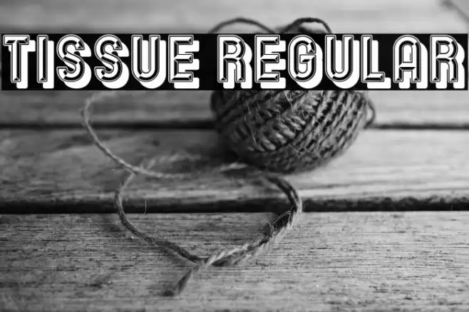 Tissue Regular Font examples