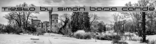 Tiesto by Simon Barja Caride
 Font examples