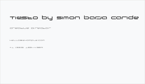 Tiesto by Simon Barja Caride
 Business Card