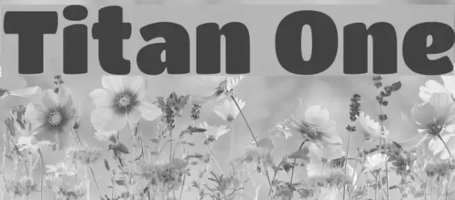 Titan One Font examples