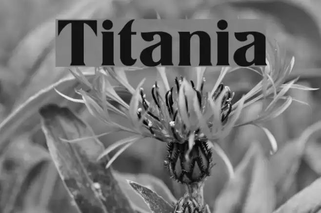 Titania Font examples