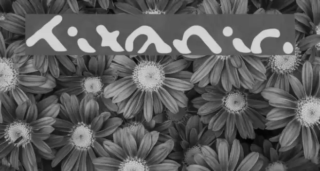 Titanic Font examples