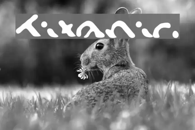 Titanic Font examples