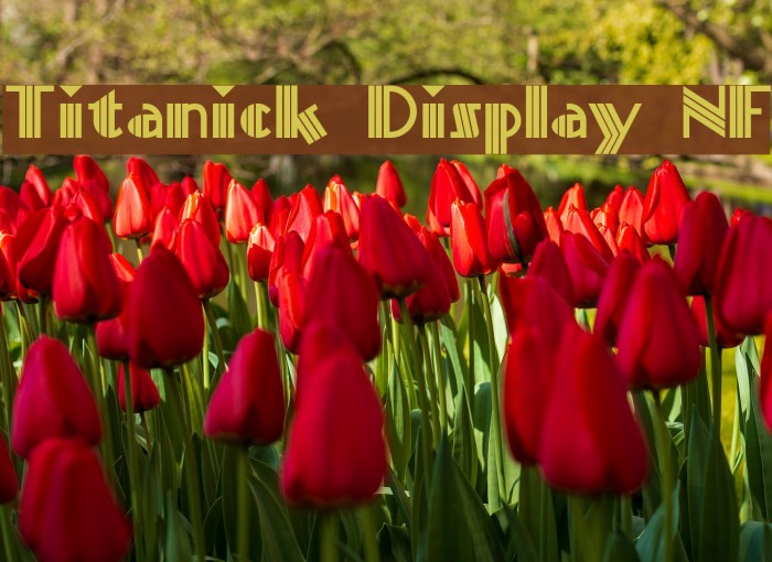 Titanick Display NF Schriftart examples