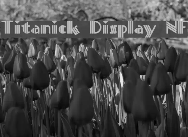 Titanick Display NF फ़ॉन्ट examples