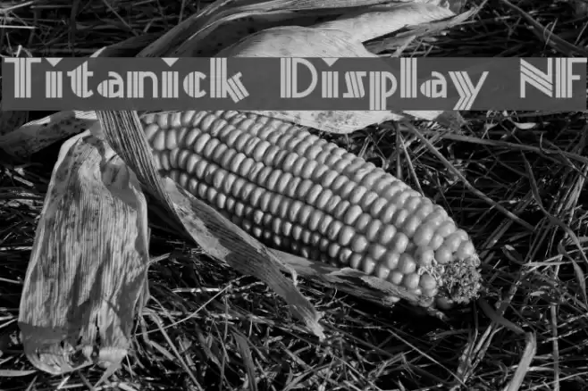 Titanick Display NF फ़ॉन्ट examples