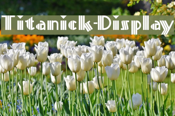 Titanick-Display Font examples