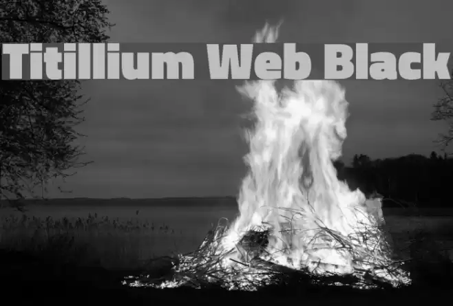 Titillium Web Black Font examples